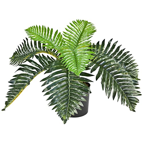 Decovego Palme Palmfarn Kunstpflanze Künstliche Pflanze 50 cm Kunstblume Kunstbaum Innendekoration Kunst Pflanze wie echt im Topf Decovego Palme Palmfarn Kunstpflanze Künstliche Pflanze 50 cm Kunstblume Kunstbaum Innendekoration Kunst Pflanze wie echt im Topf von Decovego