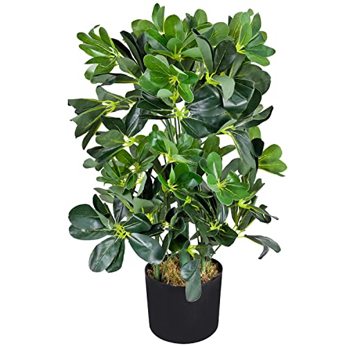 Decovego Schefflera Aralie Strahlenaralie Arboricola Kunstpflanze Kunstbaum Künstliche Pflanze 60 cm Innendekoration Kunst Pflanze wie echt im Topf von Decovego