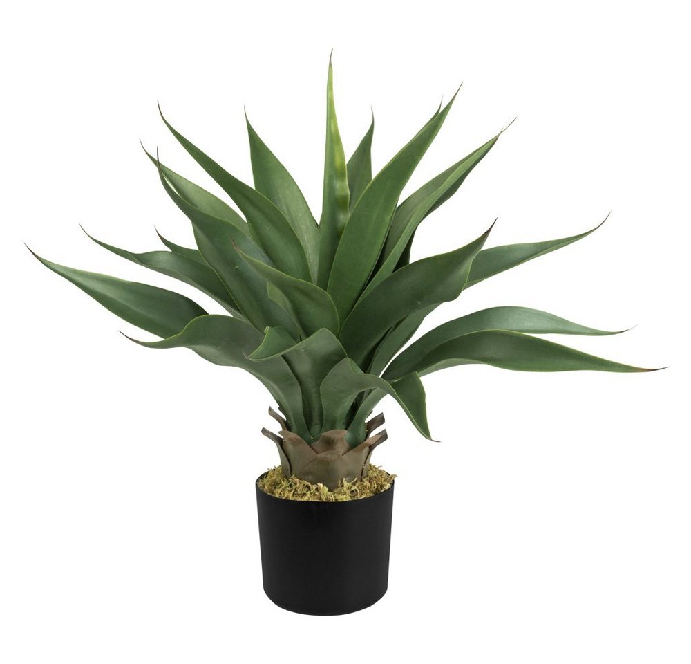 Künstliche Zimmerpflanze Aloe Vera Kunstpflanze Plastikpflanze Künstliche Pflanze 45 - 120 cm, Decovego von Decovego