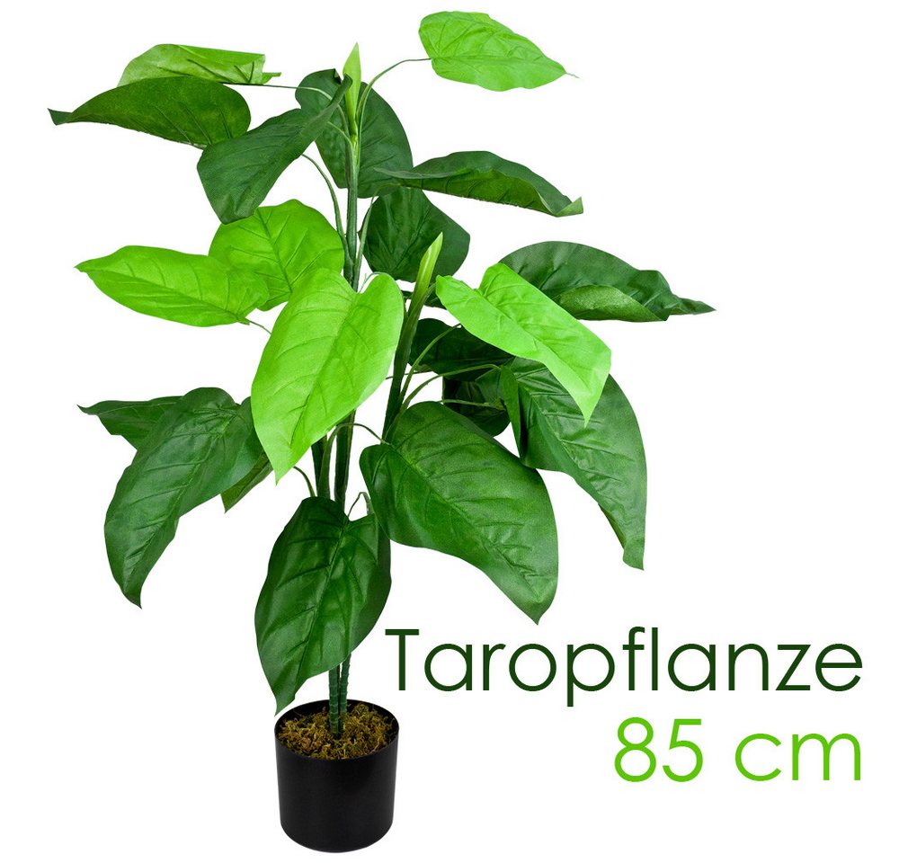 Künstliche Zimmerpflanze Aronstab Araceae Arum Taro Kunstpflanze Künstliche Pflanze Topf 85 cm, Decovego von Decovego