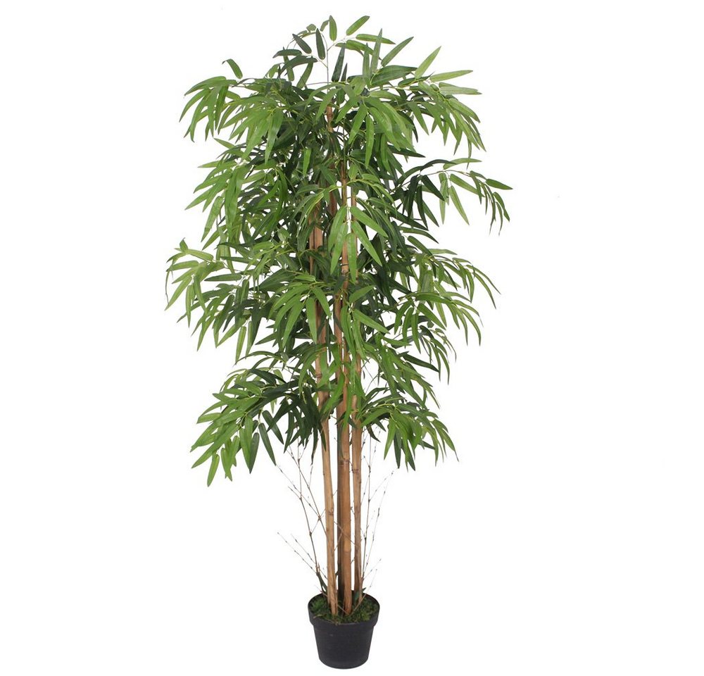 Kunstbambus Bambus Kunstpflanze Künstliche Pflanze Bambusbaum Kunstbaum 150 cm, Decovego Kunstbambus Bambus Kunstpflanze Künstliche Pflanze Bambusbaum Kunstbaum 150 cm, Decovego von Decovego