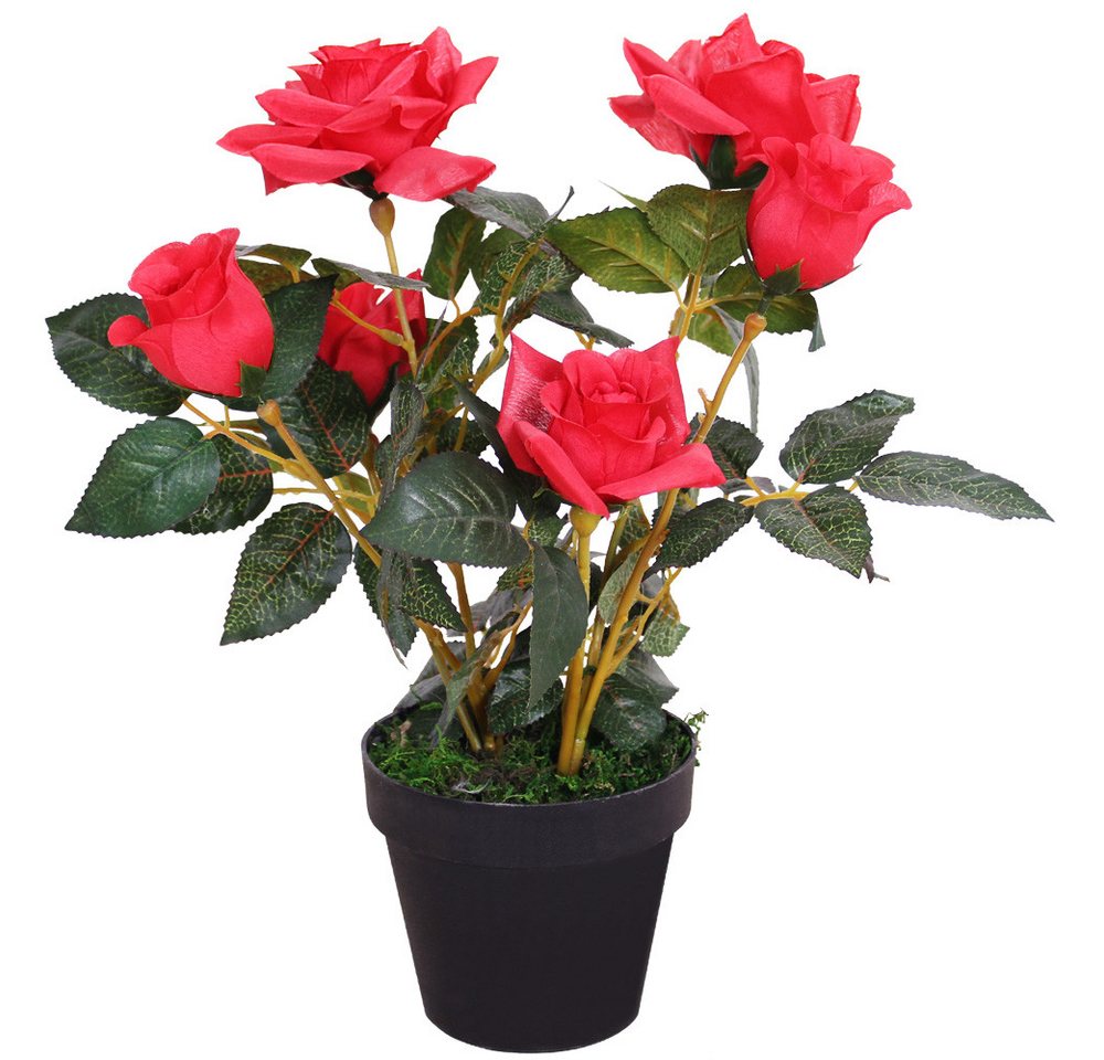 Kunstblume Rose Rosenstock Rosenbusch Kunstpflanze Künstliche Pflanze Auswahl, Decovego von Decovego