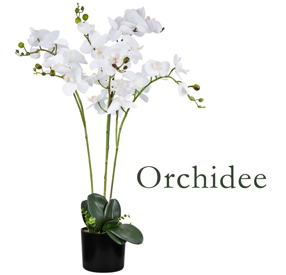 Kunstorchidee Künstliche Orchidee Pflanze Topfpflanze Kunstpflanze Pflanze Auswahl, Decovego von Decovego