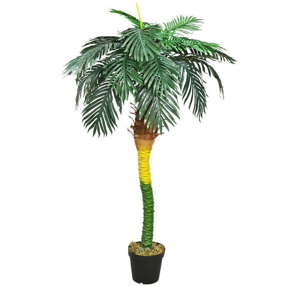 Kunstpalme Künstliche Kunstpalme Palme künstlich Königspalme Kunstpflanze 180 cm, Decovego von Decovego