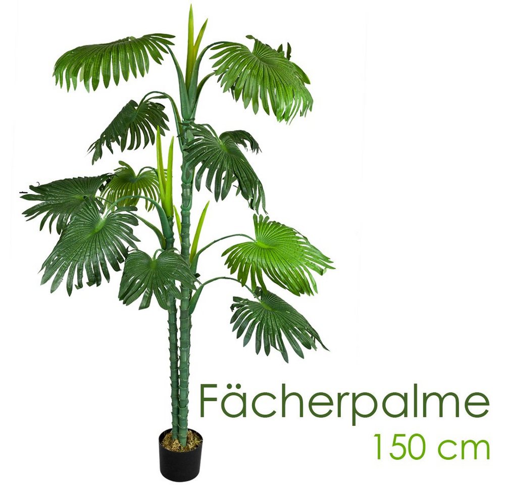 Kunstbaum Palme Palmenbaum Fächerpalme Kunstpflanze Künstliche Pflanze 150 cm, Decovego von Decovego