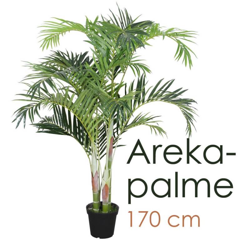 Kunstpalme Palmenbaum Palme Arekapalme Künstliche Pflanze Kunstpflanze 170 cm, Decovego von Decovego