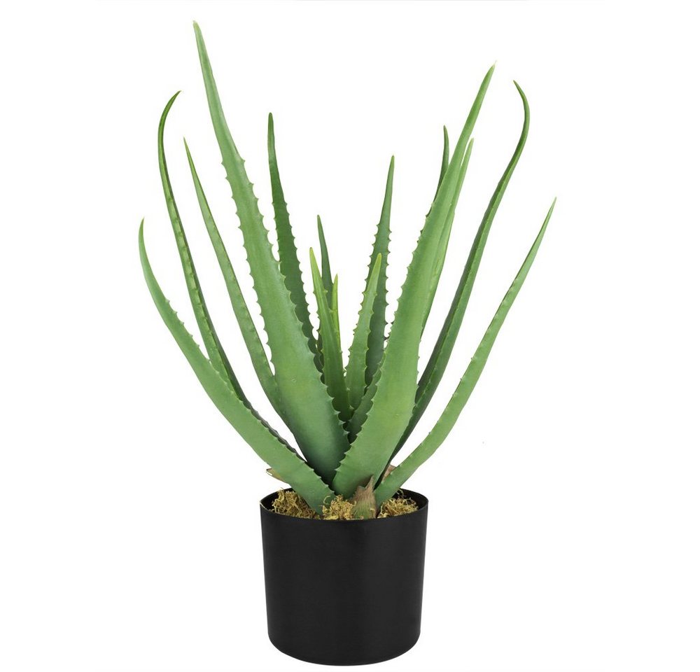 Künstliche Zimmerpflanze Aloe Vera Kunstpflanze Plastikpflanze Künstliche Pflanze 50 cm, Decovego von Decovego