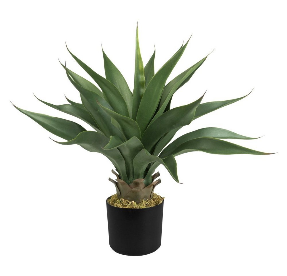 Künstliche Zimmerpflanze Aloe Vera Kunstpflanze Plastikpflanze Künstliche Pflanze 54 cm im Topf, Decovego von Decovego