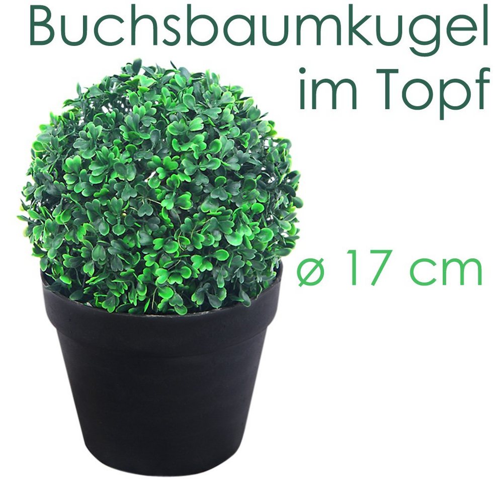 Künstliche Zimmerpflanze Buchsbaum Kugel Künstliche Pflanze Buxus im Blumentopf 25 cm, Decovego von Decovego