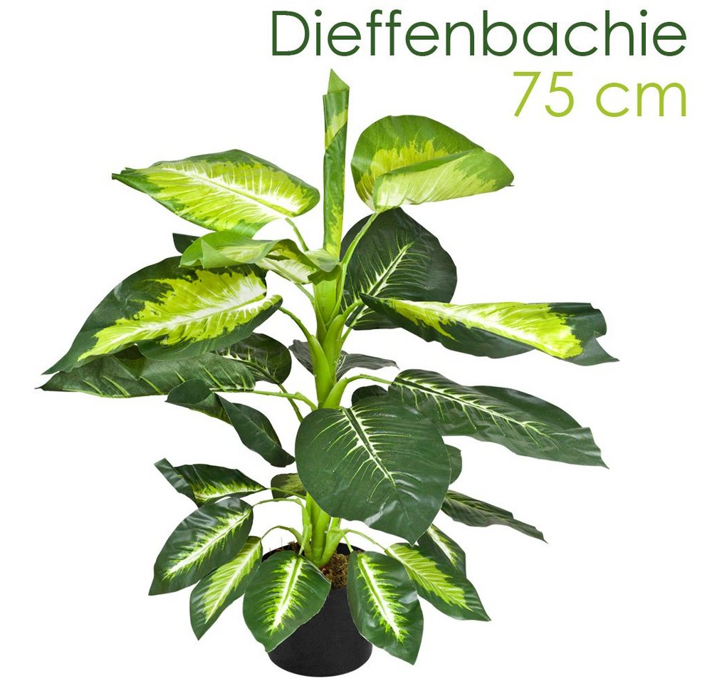 Künstliche Zimmerpflanze Dieffenbachie Kunstpflanze Kunstbaum Künstliche Pflanze 75 cm, Decovego von Decovego