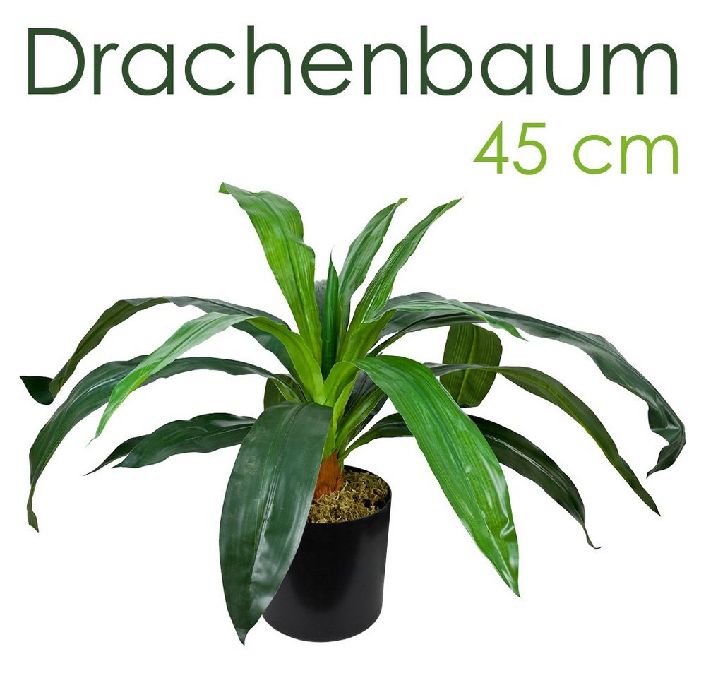 Künstliche Zimmerpflanze Drachenbaum Kunstpflanze Künstliche Pflanze mit Topf 45cm Dekoration, Decovego von Decovego