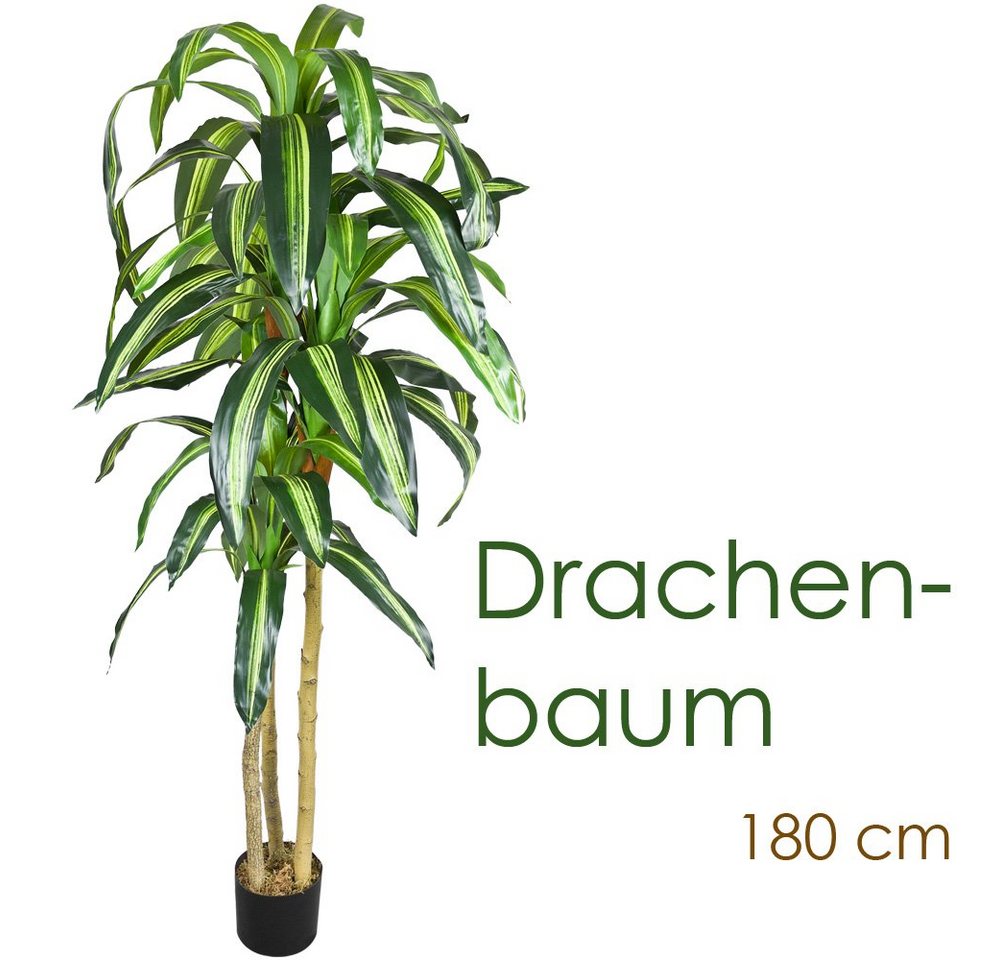 Kunstbaum Drachenbaum Kunstpflanze Kunstbaum Künstliche Pflanze 180 cm Echtholz, Decovego von Decovego