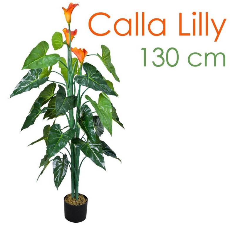 Kunstbaum Drachenwurz Calla Lily Kunstpflanze Künstliche Pflanze mit Topf 130 cm, Decovego von Decovego