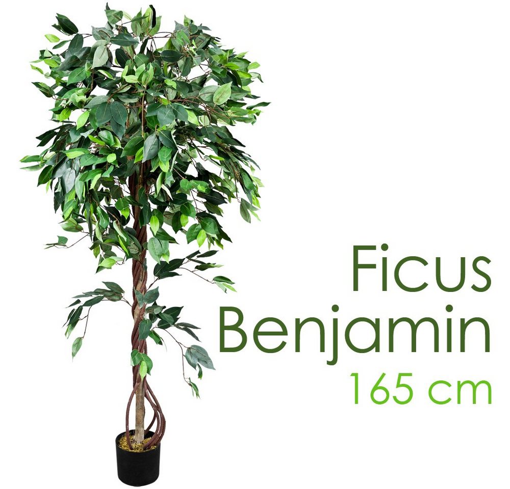 Kunstbaum Ficus Benjamin Kunstpflanze Künstliche Pflanze mit Echtholz 165 cm, Decovego von Decovego