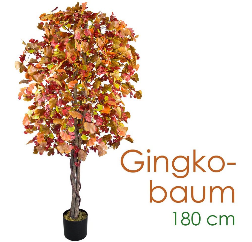 Kunstpflanze Ginkgo Ginkgobaum Kunstbaum Künstliche Pflanze Echtholz 180cm Decovego, Decovego von Decovego