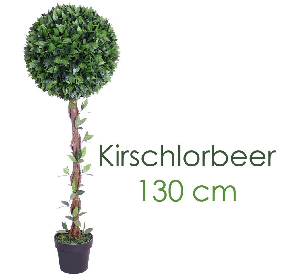 Kunstpflanze Kirschlorbeerbaum Kunstpflanze Kunstbaum Künstliche Pflanze 130cm Decovego, Decovego von Decovego