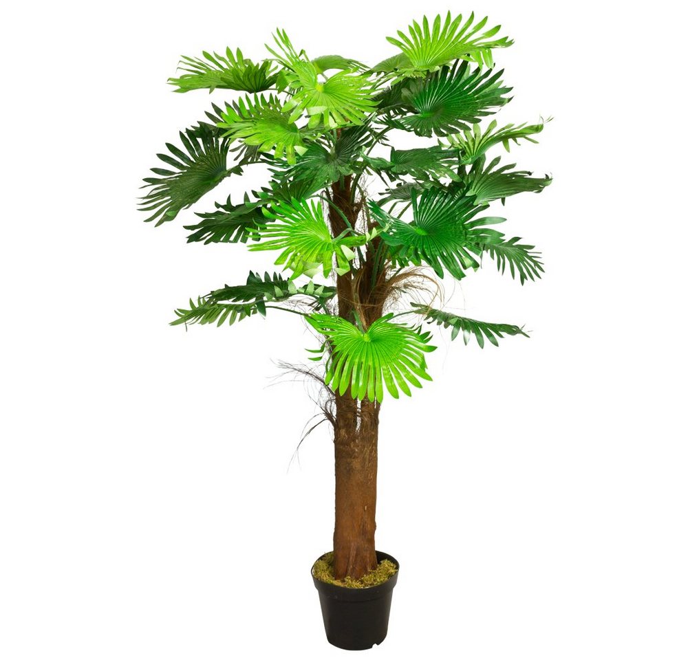 Kunstpalme Palme Palmenbaum Fächerpalme Kunstpflanze Künstliche Pflanze 180 cm, Decovego von Decovego