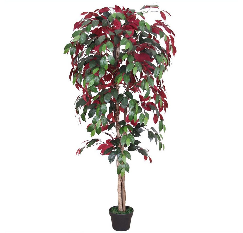 Kunstbaum Roter Ficus Benjamin Birkenfeige Kunstpflanze Künstlich 150 cm, Decovego von Decovego