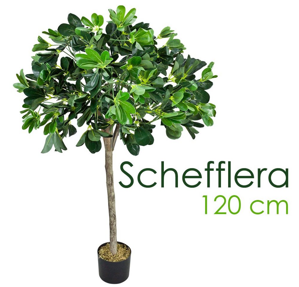 Kunstbaum Schefflera Arboricola Aralie Kunstpflanze Künstliche Pflanze 120 cm, Decovego von Decovego