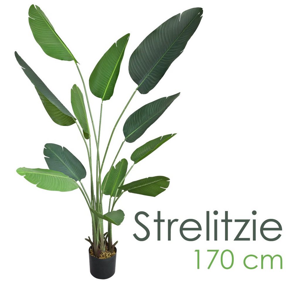 Kunstbaum Strelitzie Paradiesvogelblume Kunstpflanze Künstliche Pflanze 170 cm, Decovego von Decovego