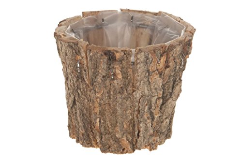 Decpero Birkentopf 22678 Natur rund 10x10x8cm mit Folie von Decpero