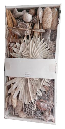 Decpero Exoten Sortiment I ca. 125 Teile I White-Washed von Decpero