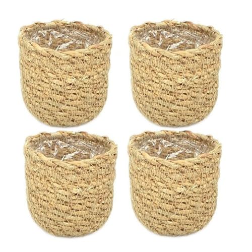 Decpero Geflochtene Seegras Mini-Übertöpfe I mit Folie I Ø6,5xH6,5cm I 4 Stück von Decpero