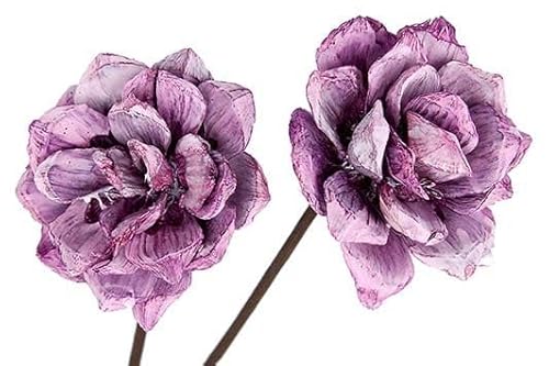 Decpero Holzrosen I Ø 8cm I Erika-weiß-gewischt I 12 Stück I Pinienrosen von Decpero