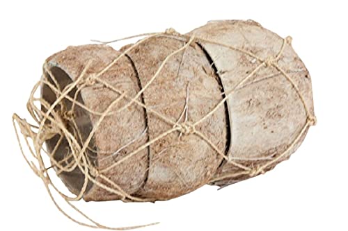 Decpero Kokosnuss Hälften I natur weiß abgewischt I Ø 10-14 cm I 3 Stück von Decpero