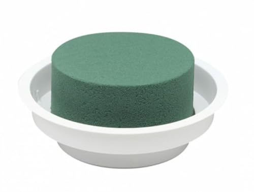 Decpero Oasis® Junior complet I 12 Stück I Ø 12 cm x Höhe 5 cm I Weiss von Decpero