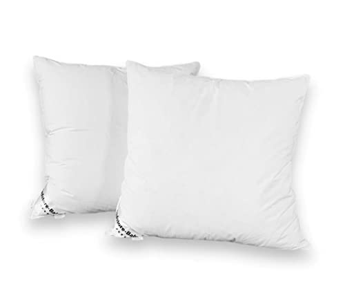 Dedstore Kopfkissen 3 Kammer Kissen 80x80 cm 2er Set Daunen - Allergiker Bettkissen mit Gänsedaunen - Pillow Bezug 100% Baumwolle 140 g/m² - Daunenkissen - Federkissen Füllung 1600g weiß von Dedstore-Baby