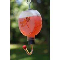 Runde Gefrostete Libellen-Gartenflasche Kolibri-Ferienhaus von DeeLuxDesigns