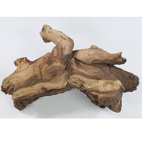 Mopani Wurzel Größe S // Wurzel aus Echtholz Dekoration für Aquarien Garnelen Zierfische Hard Scape 10 cm - 20 cm (Mangrove Savanna) von Deggelbam