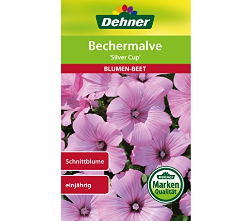 Dehner Blumen-Saatgut, Bechermalve, "Silver Cup", 5er pack (5 x 1 g) von Dehner