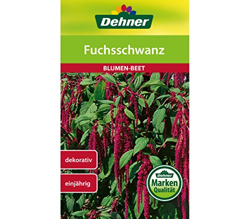 Dehner Blumen-Saatgut, Fuchsschwanz, 5er Pack (5 x 1.2 g) von Dehner