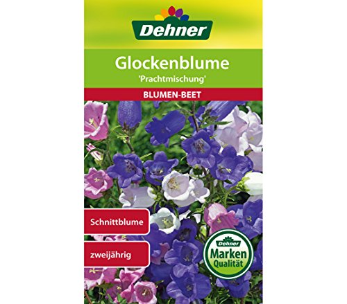 Dehner Blumen-Saatgut, Glockenblume, "Prachtmischung", 5er pack (5 x 1 g) von Dehner