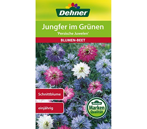 Dehner Blumen-Saatgut, Jungfer im Grünen, "Persische Juwelen", 5er pack (5 x 2 g) von Dehner