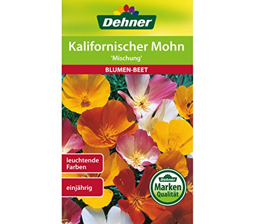 Dehner Blumen-Saatgut, Kalifornischer Mohn "Mischung", 5er pack (5 x 6 g) von Dehner
