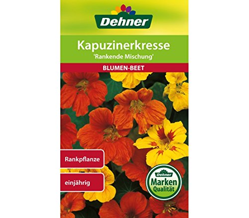 Dehner Blumen-Saatgut, Kapuzinerkresse, "Rankende Mischung", 5er Pack (5 x 10 g) von Dehner