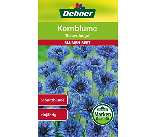 Dehner Blumen-Saatgut, Kornblume, "Blauer Junge", 5er Pack (5 x 2 g) von Dehner