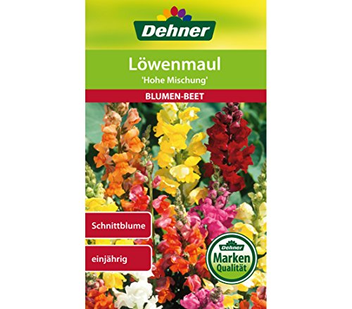 Dehner Blumen-Saatgut, Löwenmaul "Hohe Mischung", 5er Pack (5 x 0.6 g) von Dehner