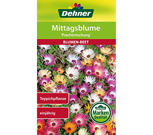 Dehner Blumen-Saatgut, Mittagsblume "Prachtmischung", 5er Pack (5 x 0.8 g) von Dehner