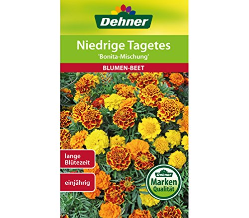Dehner Blumen-Saatgut, Niedrige Tagetes, "Bonita Mischung", 5er Pack (5 x 1.3 g) von Dehner