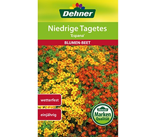 Dehner Blumen-Saatgut, Niedrige Tagetes "Espana", 5er Pack (5 x 1 g) von Dehner