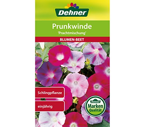 Dehner Blumen-Saatgut, Prunkwinde, "Prachtmischung", 5er pack (5 x 2.5 g) von Dehner