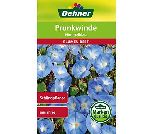 Dehner Blumen-Saatgut, Prunkwinde "Himmelblau", 5er Pack (5 x 2.5 g) von Dehner