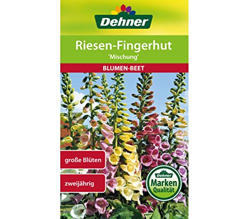 Dehner Blumen-Saatgut, Riesen-Fingerhut, "Mischung", 5er pack (5 x 0.8 g) von Dehner