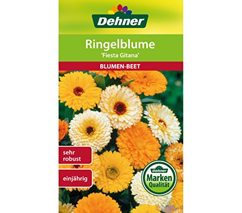 Dehner Blumen-Saatgut, Ringelblume "Fiesta Gitana", 5er pack (5 x 3 g) von Dehner