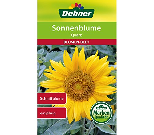 Dehner Blumen-Saatgut, Sonnenblume, "Quarz", 5er pack (5 x 3 g) von Dehner