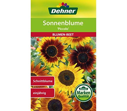 Dehner Blumen-Saatgut, Sonnenblume "Piccolo", 5er Pack (5 x 3 g), 14.5 x 8.5 x 0.2 cm von Dehner